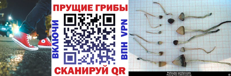 Псилоцибиновые грибы мухоморы  Называевск 